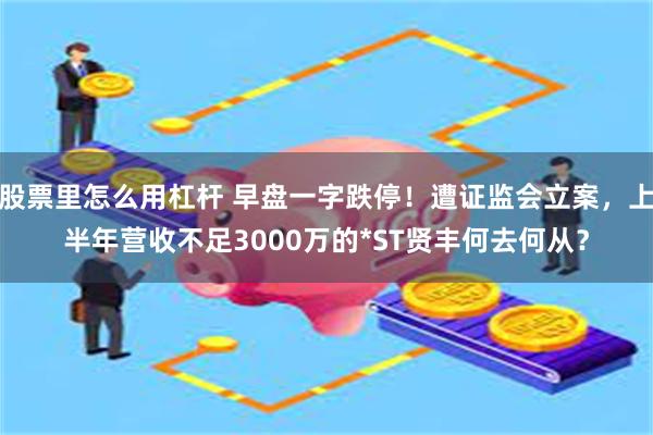 股票里怎么用杠杆 早盘一字跌停！遭证监会立案，上半年营收不足3000万的*ST贤丰何去何从？