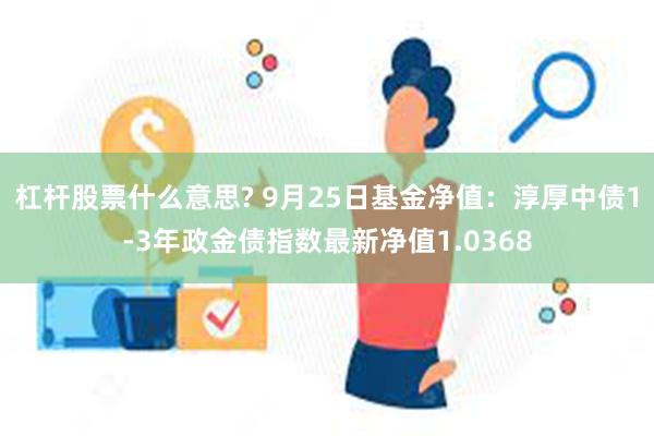 杠杆股票什么意思? 9月25日基金净值：淳厚中债1-3年政金债指数最新净值1.0368