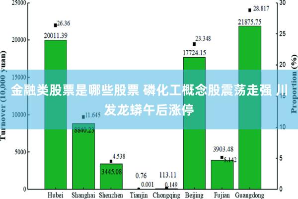 金融类股票是哪些股票 磷化工概念股震荡走强 川发龙蟒午后涨停