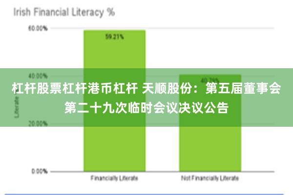 杠杆股票杠杆港币杠杆 天顺股份：第五届董事会第二十九次临时会议决议公告