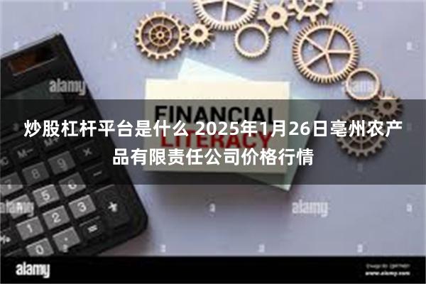 炒股杠杆平台是什么 2025年1月26日亳州农产品有限责任公司价格行情