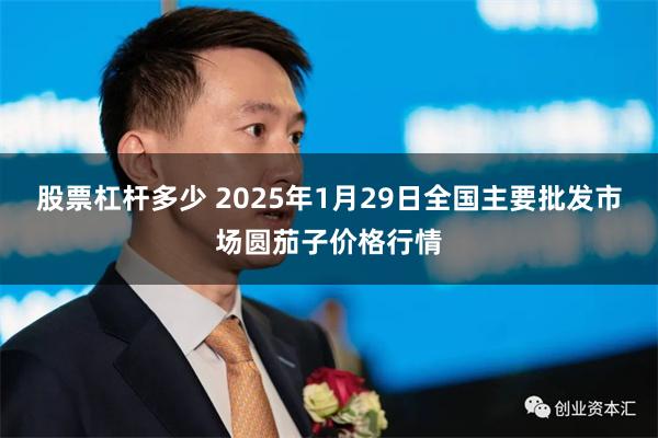 股票杠杆多少 2025年1月29日全国主要批发市场圆茄子价格行情