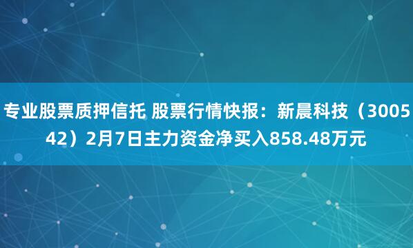 专业股票质押信托 股票行情快报：新晨科技（300542）2月7日主力资金净买入858.48万元