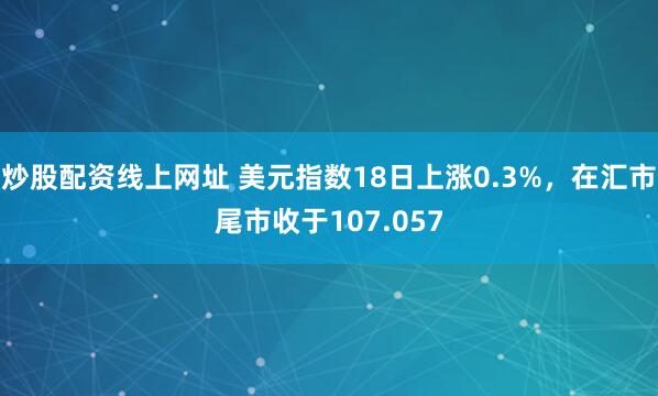 炒股配资线上网址 美元指数18日上涨0.3%，在汇市尾市收于107.057