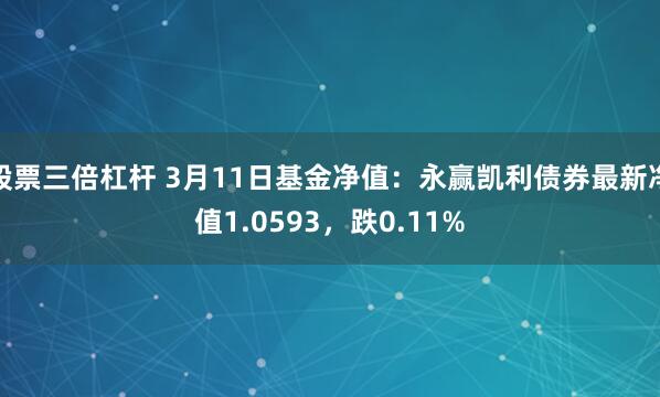 股票三倍杠杆 3月11日基金净值：永赢凯利债券最新净值1.0593，跌0.11%